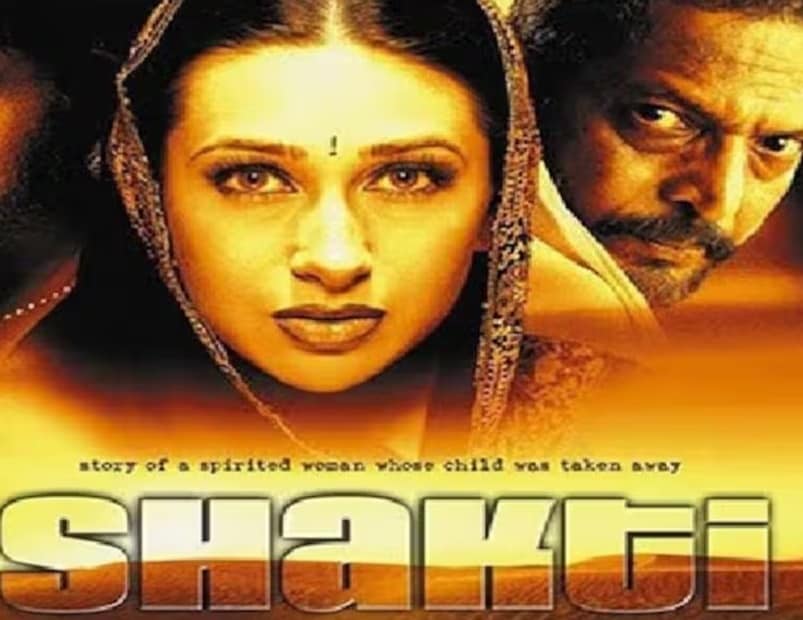 ‘শক্তি: দ্য পাওয়ার’ ছবিতে শক্তিশালী অভিনয় দক্ষতা প্রদর্শন করেছিলেন স্বয়ং করিশ্মা কাপুর। তিনি লড়াকু মায়ের চরিত্রটি এত সুন্দর ভাবে ফুটিয়ে তুলেছিলেন যে, ভক্তরা তা নিয়ে আজও চর্চা করেন। এমনকী সমালোচকদের কাছ থেকেও তিনি কুড়িয়ে নিয়েছিলেন প্রশংসা। বলা ভাল যে, অভিনয়ের দিক থেকে নানা পাটেকর, সঞ্জয় কাপুরকেও ছাপিয়ে গিয়েছিলেন অভিনেত্রী। প্রসঙ্গত এই ছবিটি পরিচালনা করেছিলেন কৃষ্ণা ভামসি। আর এর চিত্রনাট্যও লিখেছিলেন খোদ পরিচালকই।