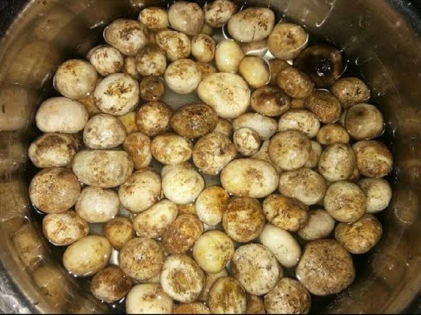 *প্রতি বছর বর্ষার অপেক্ষায় থাকেন গ্রামবাসী। বৃষ্টি শুরু হলেই তারা জঙ্গলে গিয়ে প্রাণ বাজি রেখে এই সবজি খুঁড়ে বের করে। আসলে জঙ্গল থেকে কাটুয়া আহরণ করা নিষিদ্ধ। তবে প্রোটিন সমৃদ্ধ সবজি হওয়ায় বন বিভাগের সহায়তায় বন বিভাগের সহায়তায় মাটি খুঁড়ে বিক্রি করেন গ্রামবাসীরা।