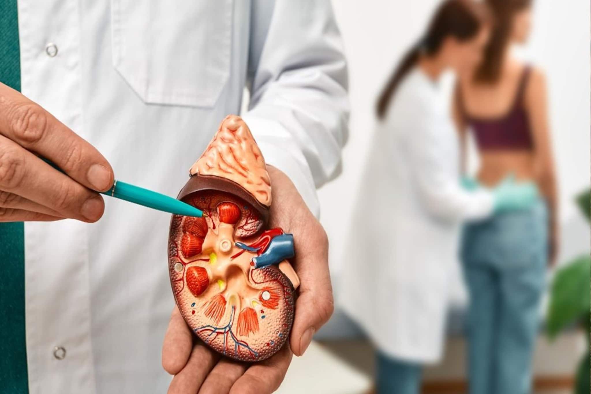 দেশে হুরহুরিয়ে বাড়ছে কিডনির রোগ! বেশি প্রোটিনেই ক্ষতি কিডনির! সতর্ক না হলেই বিপদ...