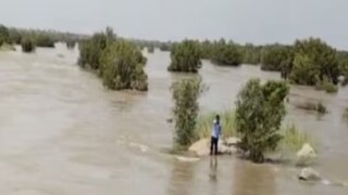 জলে দাঁড়িয়ে স্বামীর চিৎকার...