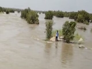 জলে দাঁড়িয়ে স্বামীর চিৎকার...