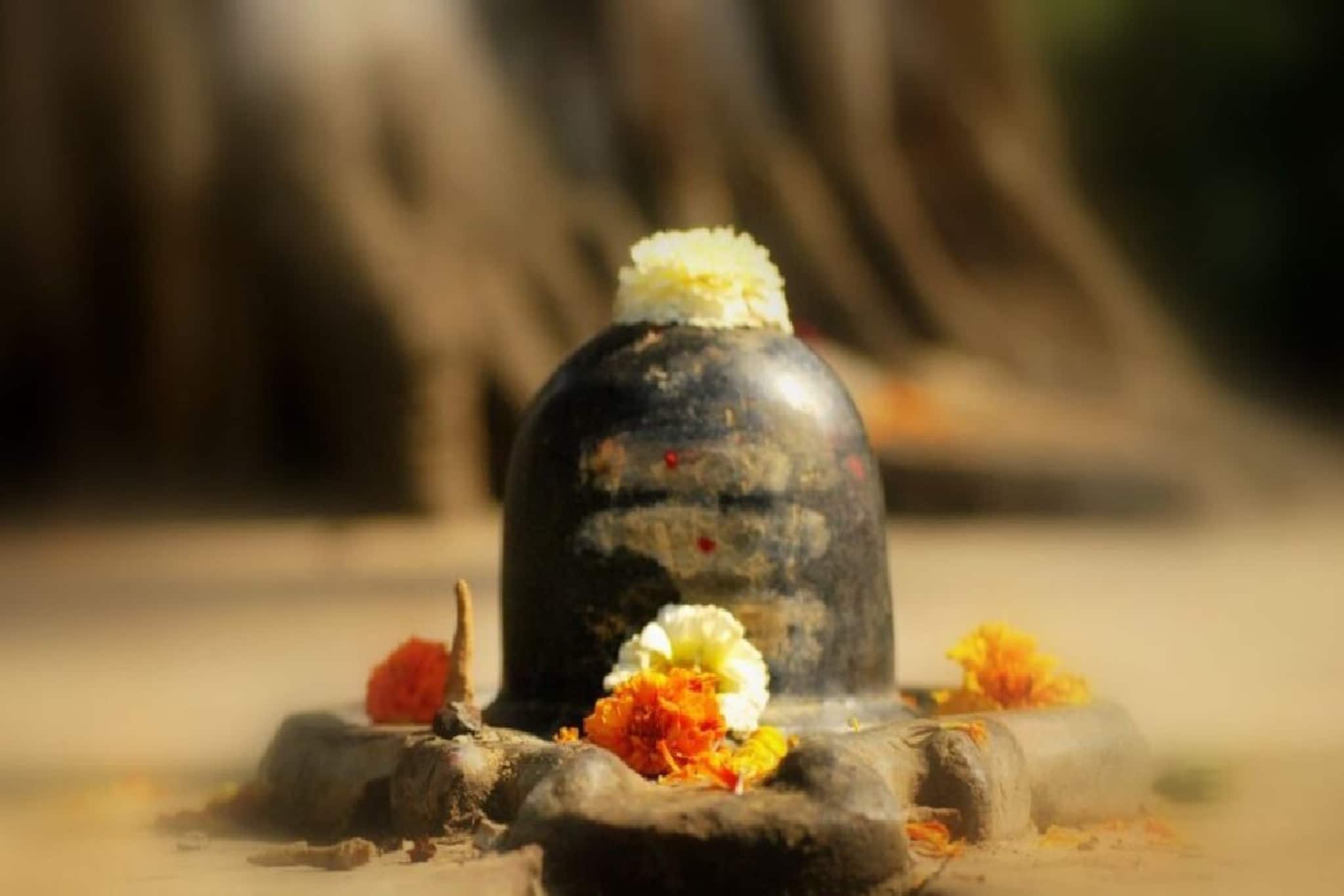 শ্রাবণ মাসে কবে মহাদেবের রুদ্রাভিষেক করতে চান? তিথি দেখে জেনে নিন