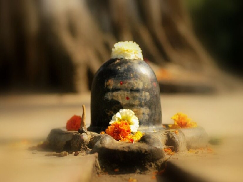 মানুষ সারা মাস ধরে মন্দিরের শিবলিঙ্গে জল অর্পণ করে ভোলেনাথের নাম স্মরণ করে। তাঁর প্রিয় জিনিসের পাশাপাশি, তারা তাদের প্রিয় ফুলও অর্পণ করে। এটি করার মাধ্যমে, ভগবান শিব খুশি হন এবং তাঁর ভক্তদের আশীর্বাদ করেন।