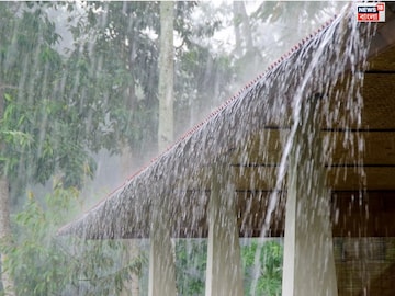বর্ষায় সারা শরীরে দাদ, হাজা, চুলকানি? ঘরোয়া উপায়গুলিতে মাত্র ৭ দিনে হবে ভ্যানিশ