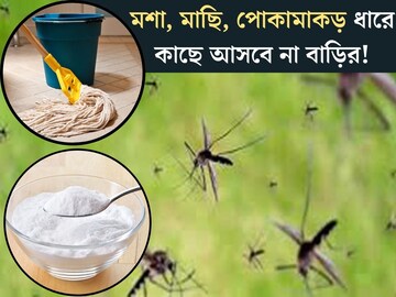 বর্ষায় মশা, মাছি ধারে কাছে আসবেও না বাড়ির! ঘর মোছার জলে মেশান এই ৫ টাকার সাদা জিনিস