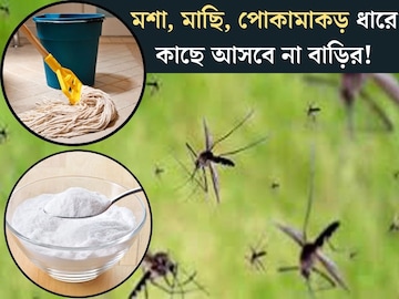 বর্ষায় মশা, মাছি ধারে কাছে আসবেও না বাড়ির! ঘর মোছার জলে মেশান এই ৫ টাকার সাদা জিনিস বর্ষায় মশা, মাছি ধারে কাছে আসবেও না বাড়ির! ঘর মোছার জলে মেশান এই ৫ টাকার সাদা জিনিস