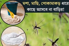 বর্ষায় মশা, মাছি ধারে কাছে আসবেও না বাড়ির! ঘর মোছার জলে মেশান এই ৫ টাকার সাদা জিনিস