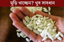 সন্ধ‍্যা হলেই রোজ খাচ্ছেন মুড়ি? অজান্তেই সর্বনাশ হচ্ছে শরীরের, কাদের খাওয়া উচিত নয়