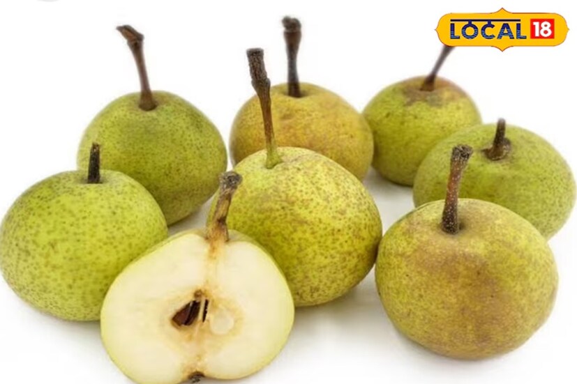 সবশেষে আসা যাক নাসপাতির কথায়। যদিও এটি দেখতে ছোট, কিন্তু, এটি খেতে মিষ্টি এবং পুষ্টিকর। নাসপাতি খেতে অনেকেই খুব পছন্দ করেন। বর্ষাকালে অনেক বাড়িতে নিয়মিত নাসপাতি খাওয়ার চল আছে।