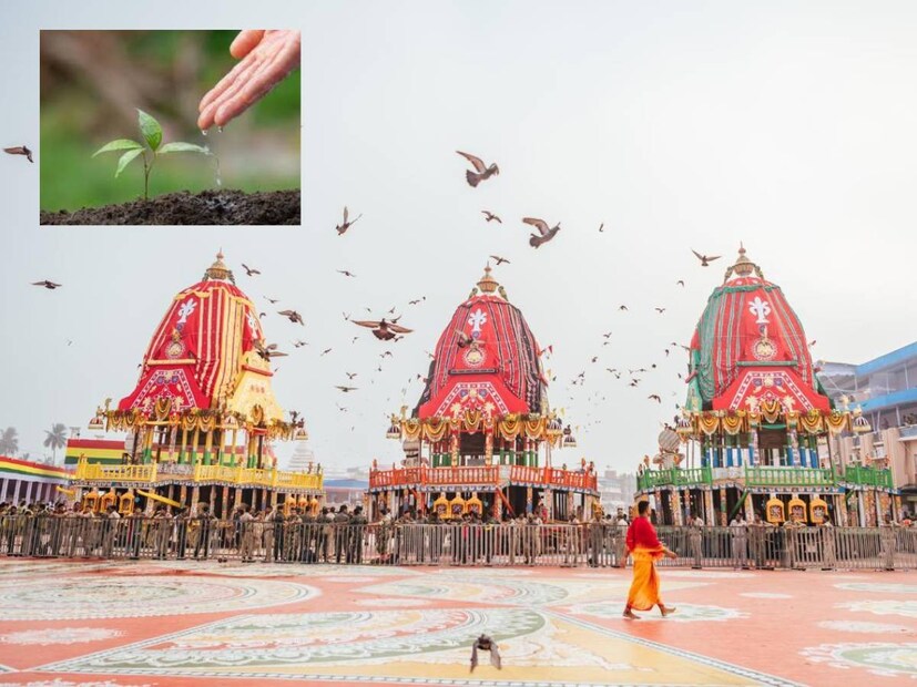 রাত পোহালেই শনিবার উল্টো রথযাত্রা৷ প্রথামাফিক মাসির বাড়ি থেকে নিজগৃহে অর্থাৎ দেবালয়ে ফিরবেন জগন্নাথদেব, বলভদ্র ও সুভদ্রাদেবী৷