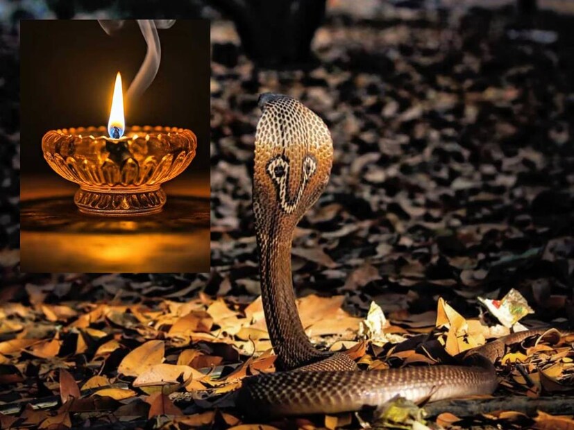 জ্যোতিষীদের মতে, যখন কোনও রাশি বা নক্ষত্রের পরিবর্তন হয়, তখন তার প্রভাব সমস্ত রাশির মানুষের উপর দেখা যায়।  বুধ কোন নক্ষত্রে গমন করবে? প্রতাপ বিহার গাজিয়াবাদের জ্যোতিষী রাকেশ চতুর্বেদী জানিয়েছেন বুধের গমনের ফলে কোন রাশির জাতকরা উপকৃত হবেন।