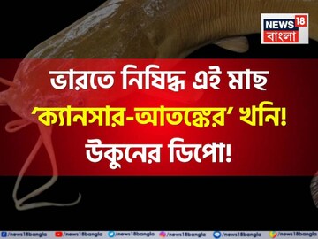 ভারতে নিষিদ্ধ এই মাছ ‘ক্যানসারের কারখানা’! উকুন-এঁটুলির ‘ডিপো’! ভুলেও মুখে দেবেন না!
