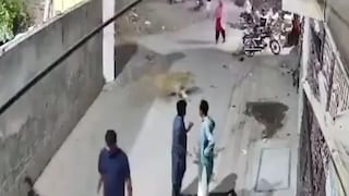 পাকিস্তানের রাস্তায় হঠাৎ সিংহের হামলা! ছবি- এক্স থেকে পাকিস্তানের রাস্তায় হঠাৎ সিংহের হামলা! ছবি- এক্স থেকে