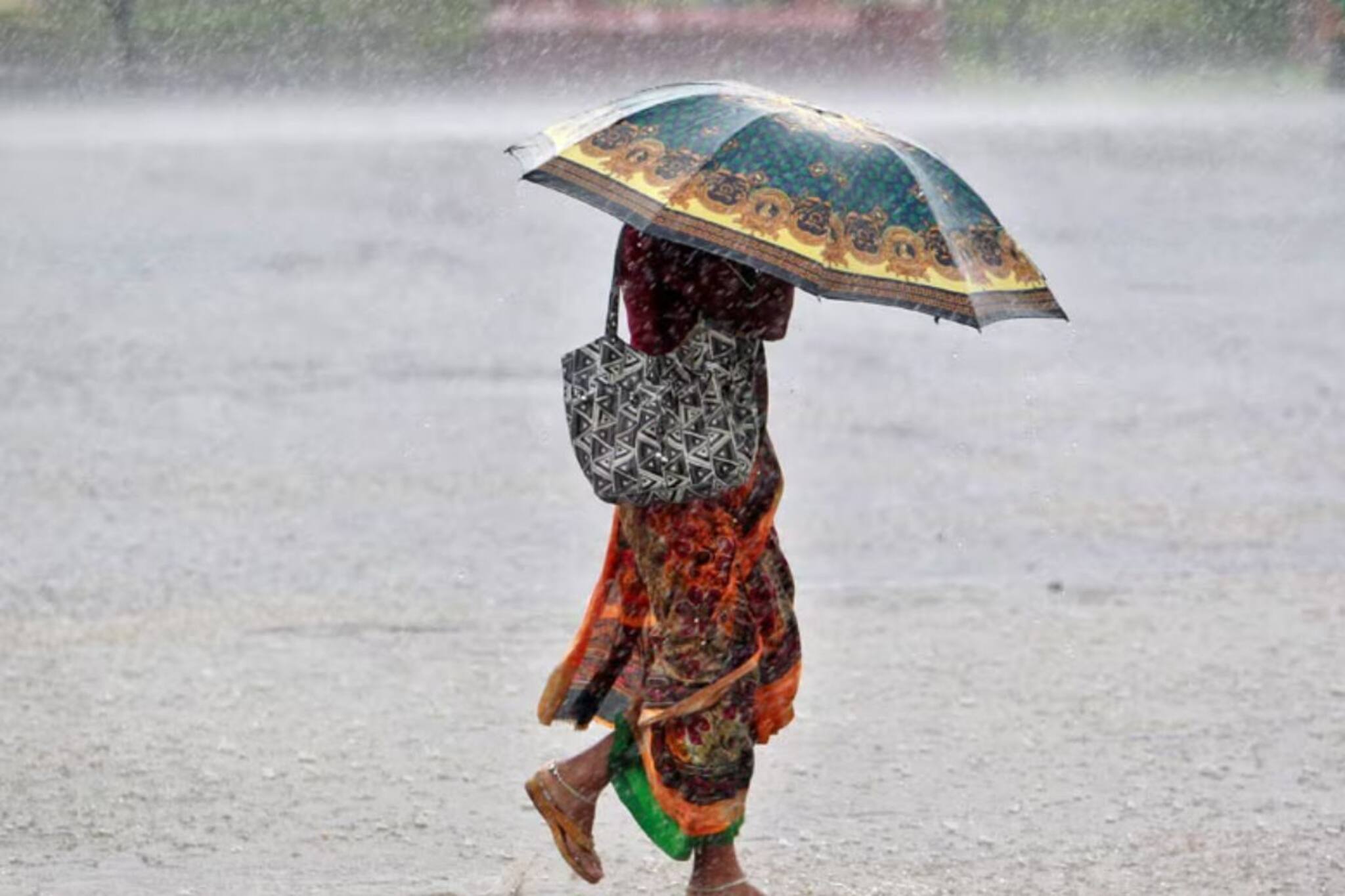 টানা বৃষ্টিতে বিপর্যস্ত জনজীবন, ঘরে ঢুকছে জল, সাপের আতঙ্কে কাটছে দিন