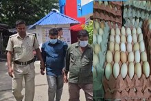 সন্দেশখালির গেস্ট হাউজে থরে থরে রাখা ডিমের ট্রেতে এসব কী?পুলিশের হাতে যা এল, কল্পনার বাইরে