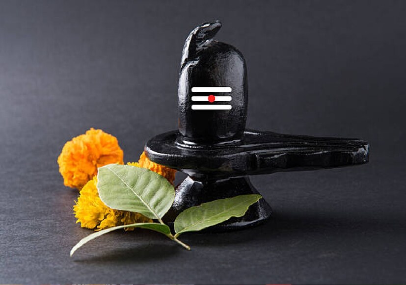 *উপবাস রাখার সময় কিছু জিনিস এড়িয়ে চলা উচিত। কারণ এগুলো শরীরের উপর নেতিবাচক প্রভাব ফেলে। শস্য, চাল, গম, ডাল উপবাসের সময় খাওয়া উচিত নয়।পেঁয়াজ, রসুন, মুলো, এগুলো উপবাসের সময় নিষিদ্ধ বলে বিবেচিত হয়। হলুদ, হিং এবং লাল মরিচের ব্যবহার করা চলবে না। সাধারণ লবণের বদলে উপবাসের সময় শুধুমাত্র সৈন্ধব লবণ ব্যবহার করা উচিত। গুড় এবং মেথি খাওয়া যায় না।