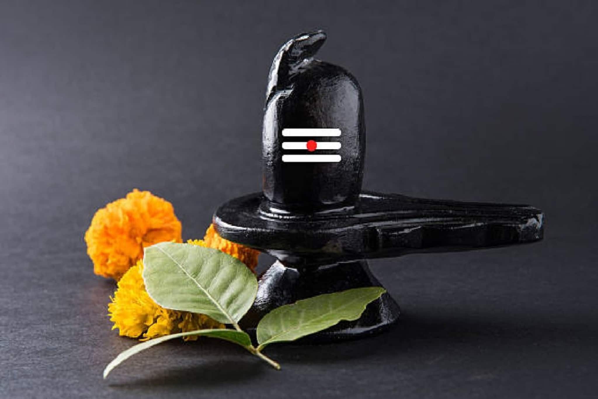 শ্রাবণের প্রথম সোমবারেই খুলবে ভাগ্য...! বিরল রাজযোগে মহাদেবকে নিবেদন করুন 'এই' সবুজ পাতা