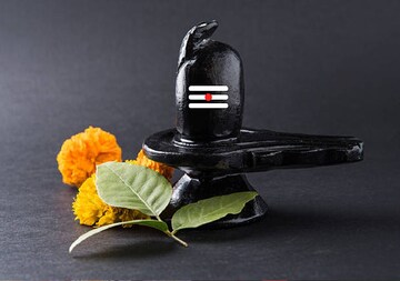 মহাদেবের সবচেয়ে প্রিয় এই ৫ পাতা, শ্রাবণ মাসে নিবেদন করলেই কাটবে ফাঁড়া, হবে টাকার বৃষ্টি