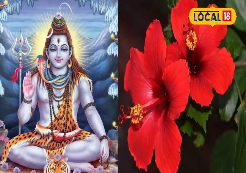 *শ্রাবণ মাস ভগবান মহাদেবের সবচেয়ে প্রিয় মাস। এমন পরিস্থিতিতে মহাদেব অত্যন্ত দয়ালু হন এবং অল্প সময়ে তাঁর ভক্তদের মনোবাঞ্ছা পূরণ করেন। মানুষ মহাদেবকে খুশি করতে এবং তাদের মনস্কামনা পূরণের জন্য বিভিন্ন দ্রব্য নিবেদন করে, কিন্তু শ্রাবণ মাস জুড়ে মহাদেবকে এই পাঁচ ধরনের ফুল অর্পণ করলে মহাদেব ক্রুদ্ধ হতে পারেন।