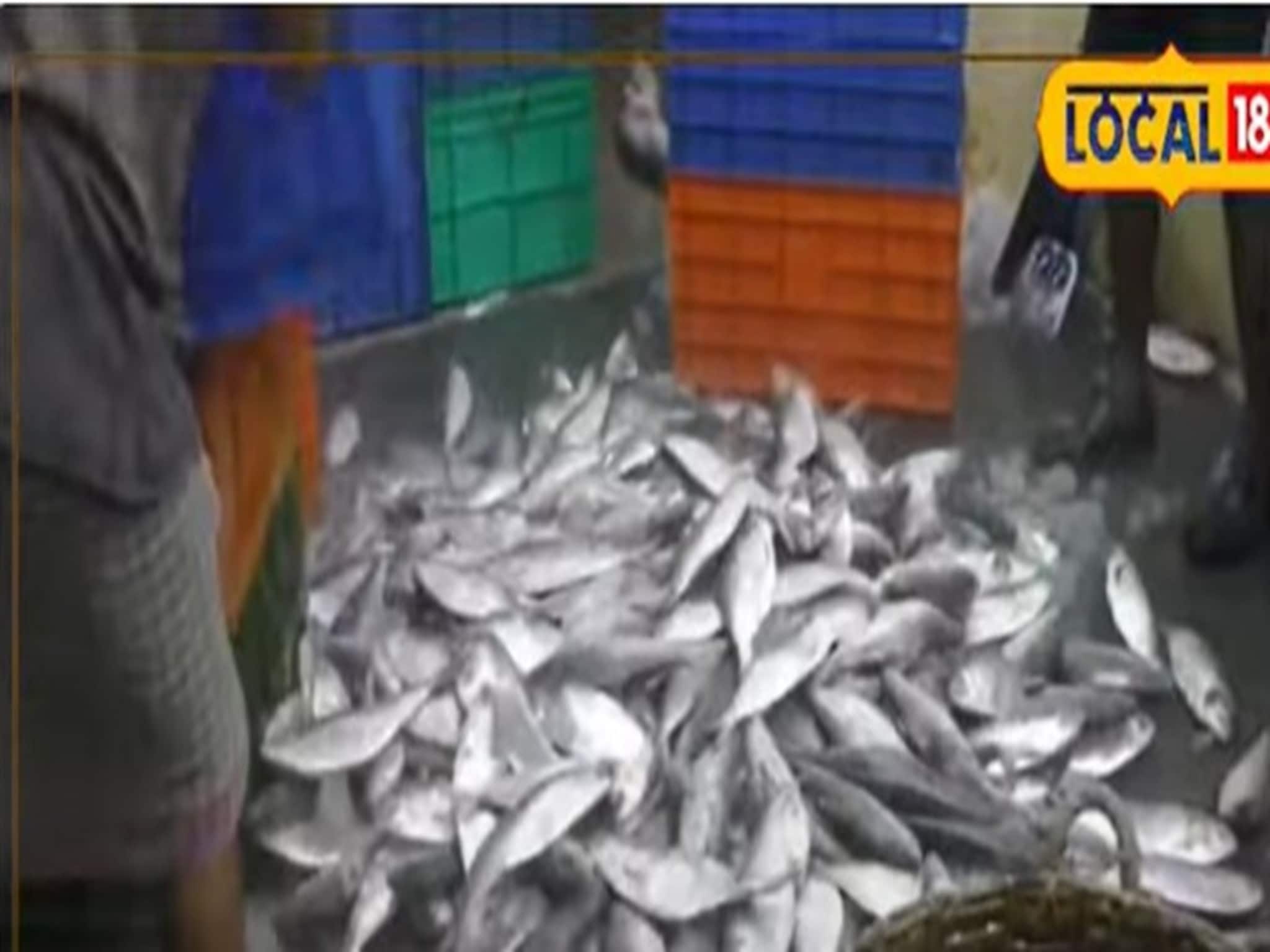 Ilish:বাজার ছেয়েছে নকল ইলিশে,কীভাবে চিনবেন আসল ইলিশ? দেখুন ভিডিও