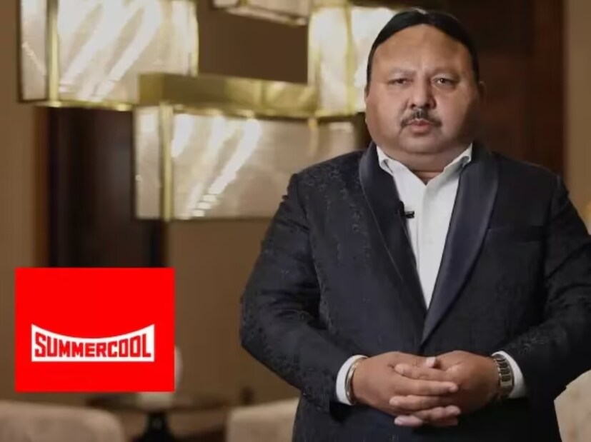 Summercool কোম্পানি রয়েছে গাজিয়াবাদে। আজ এই সংস্থার চারটি আধুনিক ফ্যাক্টরি রয়েছে। সেই সঙ্গে এখানে কাজ করেন ২০০ জন কর্মচারী। দেশের ১৭টি রাজ্যে রয়েছে তাঁদের ২৫০টি ডিস্ট্রিবিউটর। আর গোটা ভারতের প্রায় ৪০০০টি স্টোরে পাওয়া যায় তাঁদের প্রোডাক্ট। শুধু তা-ই নয়, Amazon এবং Flipkart-এর মতো অনলাইন মার্কেটপ্লেসেও মেলে এই সংস্থার প্রোডাক্ট। সেখান থেকে ১০ শতাংশ মুনাফা আসে এই ব্যবসায়। 