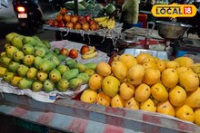 বর্ষায় এই ৫ ফল বাড়িয়ে তোলে রোগ প্রতিরোধ ক্ষমতা, ৩ নম্বরটা পাতে পড়লে কেউই না বলবেন না !