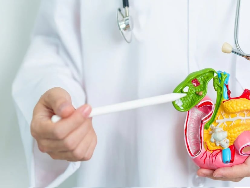 বিশ্ব স্বাস্থ্য সংস্থার (WHO) মতে, সব ধরনের ক্যানসারের মধ্যে সবচেয়ে ভয়ঙ্কর অগ্ন্যাশয়ের ক্যানসার। এই ক্যানসার তখন হয়, যখন অগ্ন্যাশয়ে ক্যানসার কোষ বেড়ে যায়। তবে এই রোগ সাধারণত বেশি দেখা যায় বয়স্কদের মধ্যে। পুরুষদের মধ্যে অগ্ন্যাশয়ের ক্যানসারে আক্রান্ত হওয়ার ঝুঁকি মহিলাদের তুলনায় বেশি, কারণ তাঁরা তুলনামূলকভাবে বেশি ধূমপান করেন। আর ধূমপান অগ্ন্যাশয়ের ক্যানসারের একটি প্রধান কারণ। কোন কোন উপসর্গ দেখলেই সচেতন হবেন?