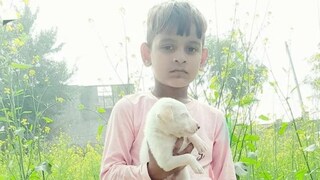 প্রতিবেশীকে ফোন চুরি করতে দেখে ফেলেছিল শিশু! শাস্তি হল ভয়ঙ্কর, নরম শরীরে ১২ বার কাঁচির কোপ...! জানুন সেই হাড়হিম করা ঘটনাটি...