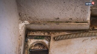 প্রতীকী ছবি