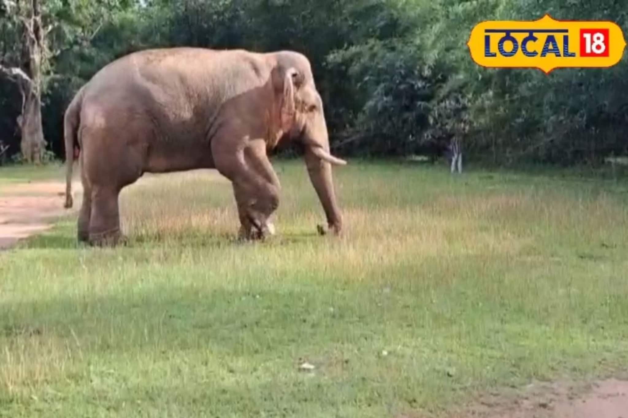 ট্রাক আটকে তোলাবাজি! তারপরেই মাঠে ফুটবল প্র‍্যাকটিস, রামলালের কাণ্ড ভাইরাল