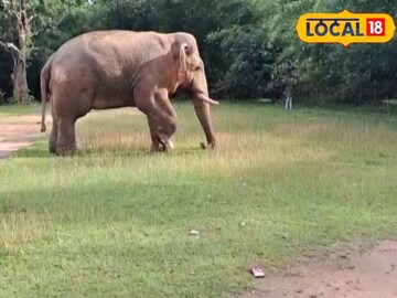 ট্রাক