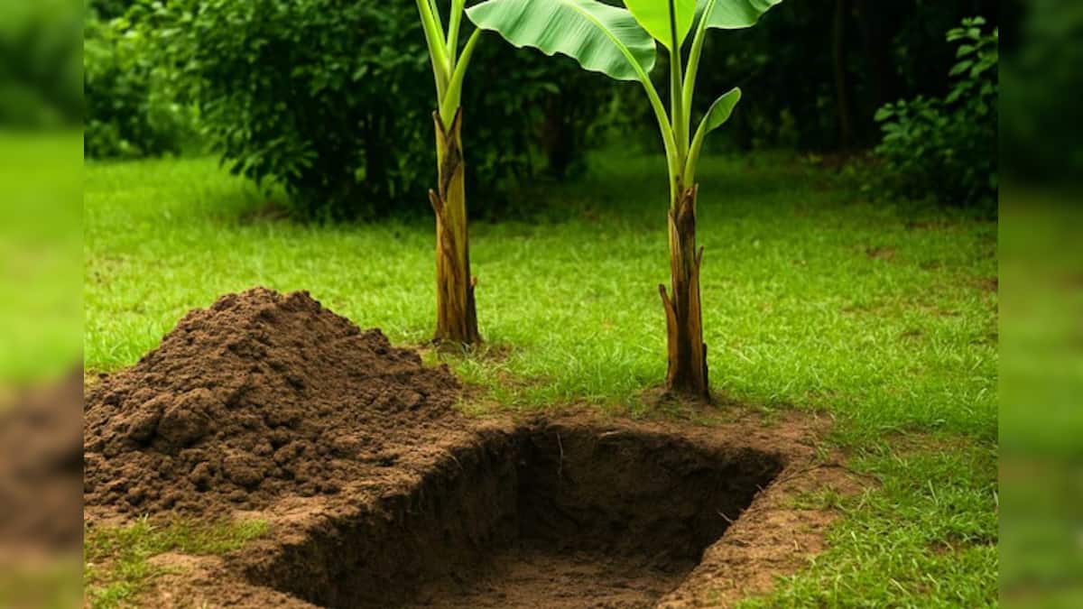 Family Crime News: ‘গেট টুগেদারের’ আছিলায় স্ত্রী-শাশুড়িকে ডেকে চরম সিদ্ধান্ত ব্যক্তির! লেবু বাগানে দে*হ পুঁ*তে লাগানো হল কলা গাছ….