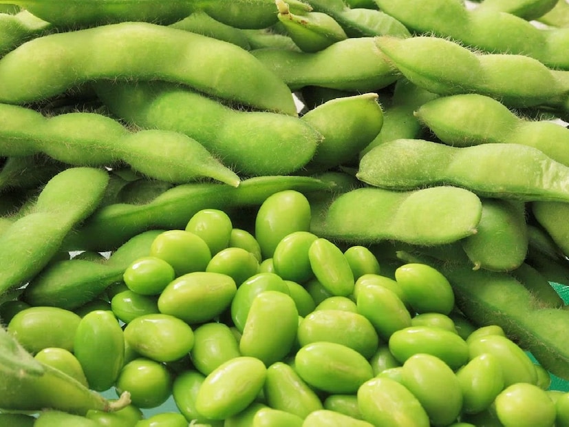 এই সবজির বৈজ্ঞানিক নাম পিসম সাটিভম, যা সাধারণত ভারতে উত্তর প্রদেশ, বিহার এবং মহারাষ্ট্রে চাষ করা হয়। মটরশুঁটি শীত মরশুমে খুব সহজেই চাষ করা যায়। এই সবজিটি, পাস্তা, চাউমিন, স্যান্ডউইচ, ম্যাগির মতো খাবারে দিলে তা স্বাদ বাড়ানোর জন্য সাহায্য করে। এছাড়াও, মটরশুঁটি দিয়ে আলাদা সবজিও তৈরি করা হয় যেমন মটরপনির।