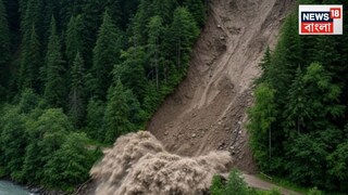 Representative Image: Photo Created by AI Representative Image: Photo Created by AI