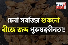 এই সবজির বীজে জব্দ পুরুষত্বহীনতা! বাড়ে শুক্রাণু! পাবেন টগবগে শক্তি! কমবে ওজন, ডায়াবেটিস