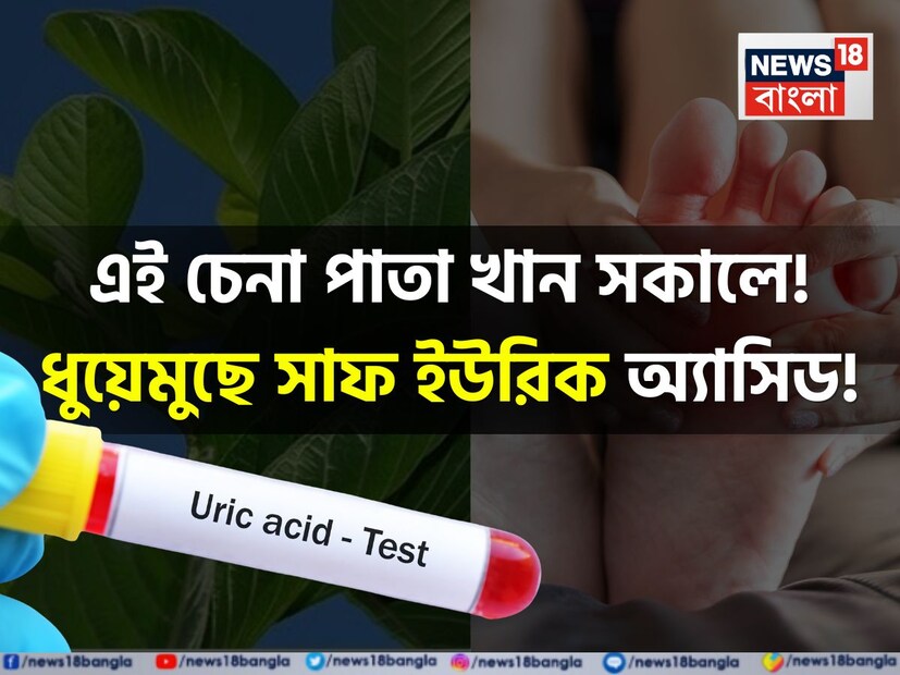 Uric Acid Defeat: ইউরিক অ্যাসিডের ব্যথায় কুঁকড়ে গিয়ে চোখে জল? সকালে গালে ফেলুন এই চেনা পাতা! ধুয়েমুছে সাফ ইউরিক অ্যাসিড! গায়েব বদ কোলেস্টেরল!