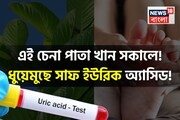 সকালে গালে ফেলুন এই চেনা পাতা! ধুয়েমুছে সাফ ইউরিক অ্যাসিড! গায়েব বদ কোলেস্টেরল!