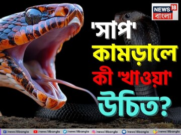 সাপের কামড়ে 'কী' খাওয়া উচিত জানেন...? এই 'পানীয়' ভুলেও খাবেন না! জানুন বিশেষজ্ঞের পরামর্শ
