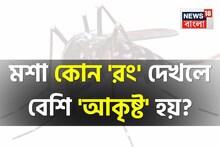 মশা কোন 'রং' দেখলে বেশি 'আকৃষ্ট' হয় জানেন...? 'উত্তর' বলে দিলেন বিশেষজ্ঞ!