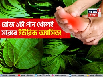 রোজ ১ টা পানপাতা খান ‘এভাবে’! চুম্বকটানে ইউরিক অ্যাসিড শুষে নেবে ব্লটিং পেপারের মতো