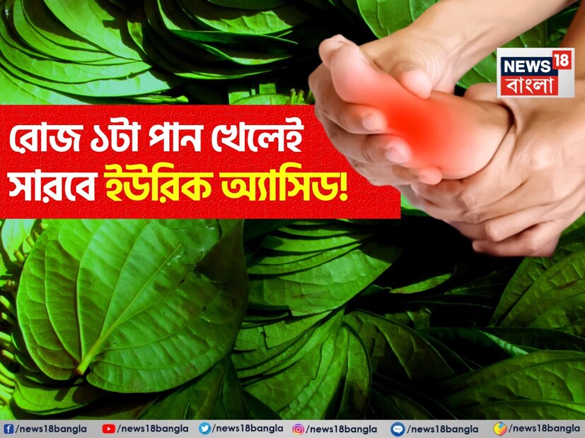 পানের নাম শুনলেই মানুষের মনে মিষ্টি ভাব আসে। পান যেমন মিষ্টি, তেমনি আমাদের জন্যও ঔষধি। আয়ুর্বেদে পানকে একটি ঔষধি গাছ হিসেবে বিবেচনা করা হয় যা আমাদের শরীরের নানাভাবে উপকার করে। পান পাতায় পাওয়া নানা ধরণের পুষ্টি উপাদান আমাদের শরীরের অনেক গুরুতর রোগ এড়াতে সাহায্য করে। 