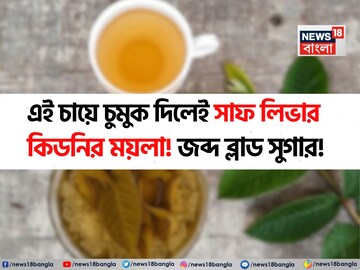 সকালের চায়ে ফেলে দিন এই পাতা ৬-৭ টা ! লিভার, কিডনির ময়লা সাফ চুম্বকের টানে!