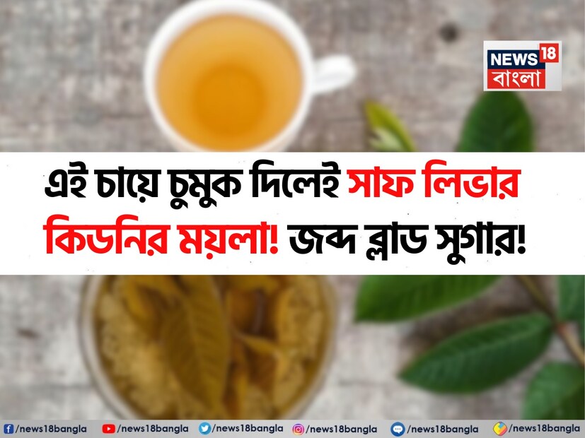 এটা বললে অত্যুক্তি হবে না যে ডায়াবেটিস আজ কেবল একটি স্বাস্থ্যগত অবস্থা নয়। এটি একটি বিশ্বব্যাপী মহামারী। বিশ্ব স্বাস্থ্য সংস্থার (WHO) মতে, বিশ্বব্যাপী ৮৩ কোটিরও বেশি মানুষ বর্তমানে ডায়াবেটিস নিয়ে জীবনযাপন করছে। আন্তর্জাতিক ডায়াবেটিস ফেডারেশন (IDF) আরও জানিয়েছে যে ভারত বিশ্বব্যাপী দ্বিতীয় স্থানে রয়েছে, ২০২৪ সালের মধ্যে আনুমানিক ৮৯.৮ মিলিয়ন প্রাপ্তবয়স্ক আক্রান্ত - এই সংখ্যা ২০৫০ সালের মধ্যে ১৫৬.৭ মিলিয়নে পৌঁছাবে বলে আশা করা হচ্ছে। 