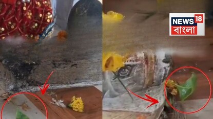 শিবমন্দিরে বেলপাতার নাচ। শিবমন্দিরে বেলপাতার নাচ।