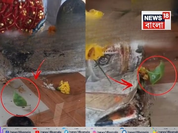 শিবমন্দিরে বেলপাতার নাচ। 