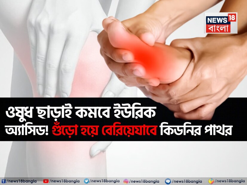 আজকের দিনে ইউরিক অ্যাসিডের সমস্যা খুবই সাধারণ হয়ে উঠছে। ইউরিক অ্যাসিড আমাদের শরীরে তৈরি হওয়া একটি বর্জ্য পদার্থ। পিউরিন নামক রাসায়নিক পদার্থ ভেঙে গেলে এটি তৈরি হয়। অনেক ধরণের খাবারে পিউরিন পাওয়া যায়। এখন, সাধারণত কিডনি ইউরিক অ্যাসিড ফিল্টার করে শরীর থেকে বের করে দেয়। 