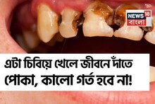 গোল্লায় যাক দামি টুথপেস্ট-মাউথওয়াশ! ‘এটা’ চিবোলেই জীবনে হবে না দাঁতে পোকা, কালো গর্ত!