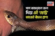 সাপে কামড়ালে জল দিয়ে ছোট্ট কাজেই বাঁচবে প্রাণ! এই ‘ভুল’ করলে শরীরে বিষ ছড়িয়ে হবে মৃত্যু