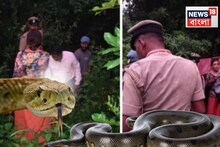 টানা ৮ বছর ধরে সাপের সঙ্গে...! যা করছিলেন এই মহিলা, গুহার ভিতরে ঢুকতেই  আঁতকে উঠল পুলিশ