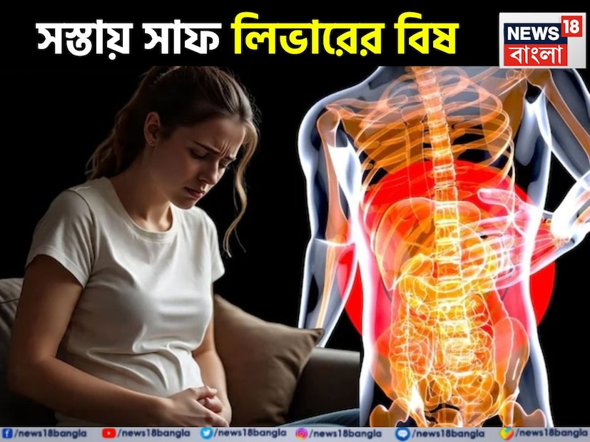 আয়ুর্বেদে এমন অনেক গাছের কথা উল্লেখ করা হয়েছে, যেগুলো স্বাস্থ্যের জন্য ঔষধি হিসেবে প্রমাণিত হয়েছে। তবে, এগুলো সম্পর্কে জ্ঞানের অভাবে আমরা এগুলোর সুবিধা নিতে পারছি না। শরপুঙ্খা বা বননীল এমনই একটি উদ্ভিদ। হ্যাঁ, ঔষধি গুণে পরিপূর্ণ শার্পুঙ্খার বৈজ্ঞানিক নাম 'ট্রেফেসিয়া পুরপুরিয়া'। বলছেন আয়ুর্বেদিক বিশেষজ্ঞ দীক্ষা ভাভসর৷